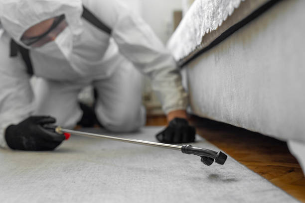 Professional Bed Bug Control technician working in North Aurora, IL