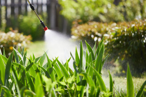 24/7 Emergency Bed Bug Control experts in North Aurora, IL